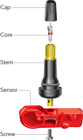 shegnshi TPMS Valve