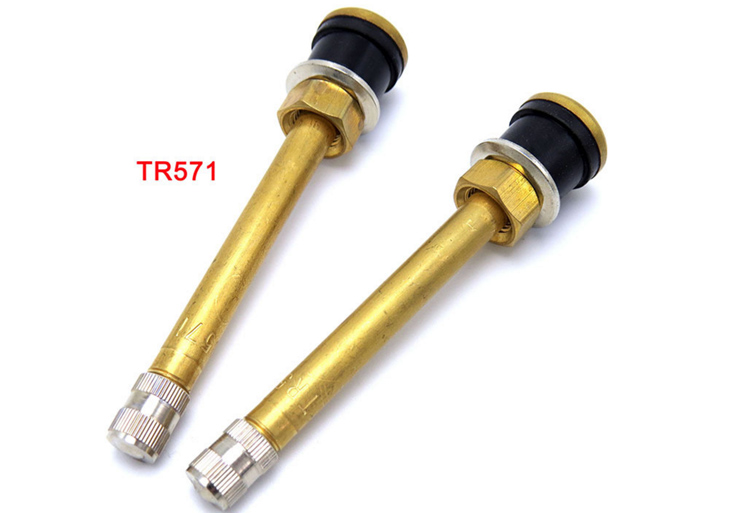 Tire Valve TR571